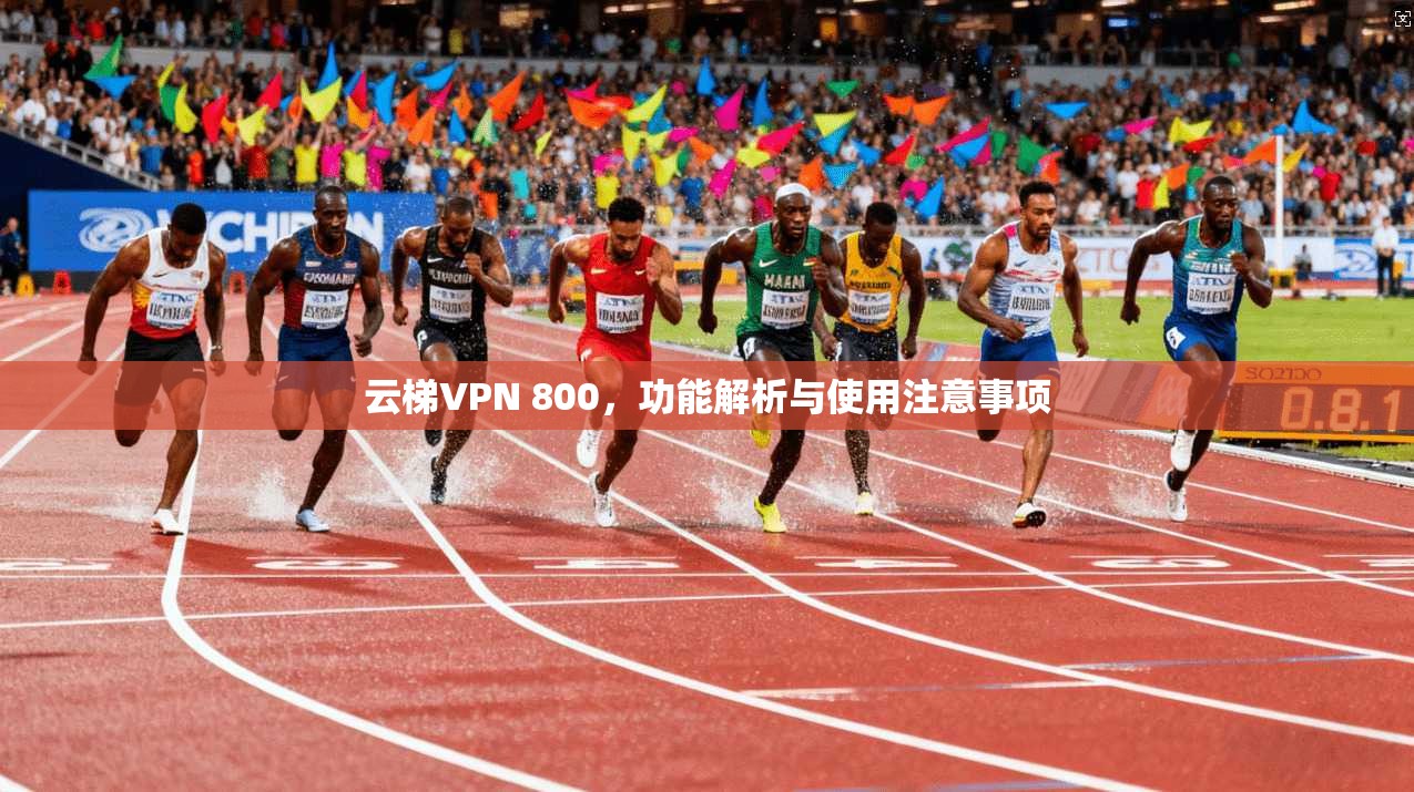 云梯VPN 800,功能解析与使用注意事项