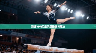 海豚VPN闪退问题排查与解决
