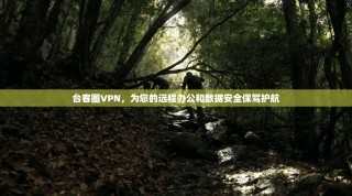 台客圈VPN，为您的远程办公和数据安全保驾护航