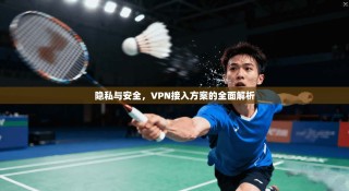 隐私与安全，VPN接入方案的全面解析