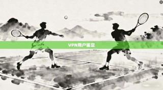 VPN用户鉴定