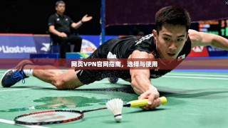 网页VPN官网指南，选择与使用