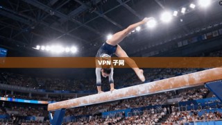 VPN 子网