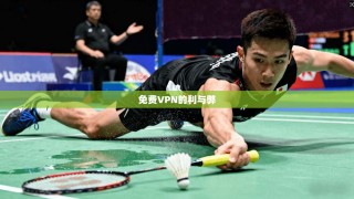 免费VPN的利与弊