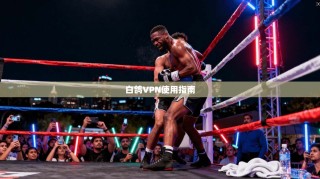 白鸽VPN使用指南