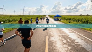 VPN代理属性详解