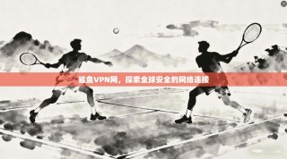 鲨鱼VPN网，探索全球安全的网络连接