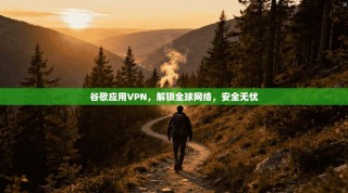 谷歌应用VPN，解锁全球网络，安全无忧