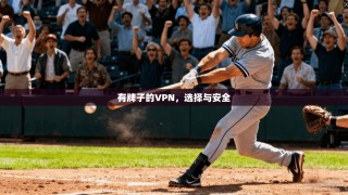 有牌子的VPN，选择与安全