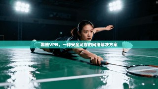 黑熊VPN，一种安全可靠的网络解决方案