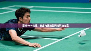 雷神VPN软件，安全与便捷的网络解决方案