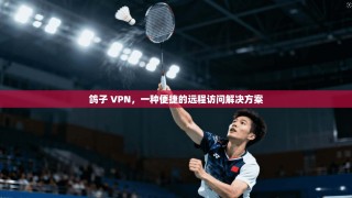 鸽子 VPN，一种便捷的远程访问解决方案