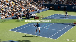 如何选择合适的VPN网址域名