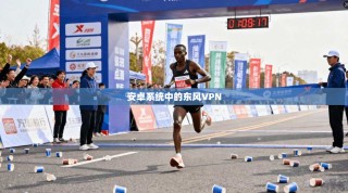 安卓系统中的东风VPN