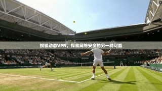 搜狐动态VPN，探索网络安全的另一种可能