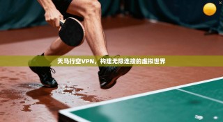 天马行空VPN，构建无限连接的虚拟世界