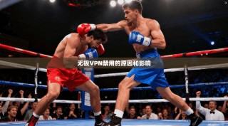 无极VPN禁用的原因和影响