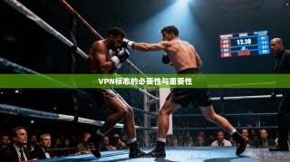 VPN标志的必要性与重要性