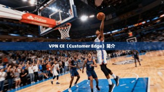 VPN CE（Customer Edge）简介