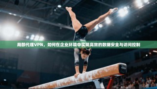 局部代理VPN，如何在企业环境中实现高效的数据安全与访问控制