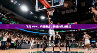 飞鸟 VPN，构建安全、快速的网络连接