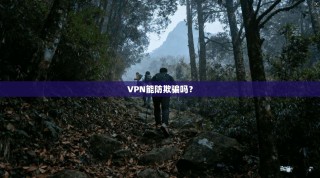 VPN能防欺骗吗？