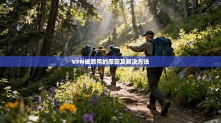 VPN被禁用的原因及解决方法