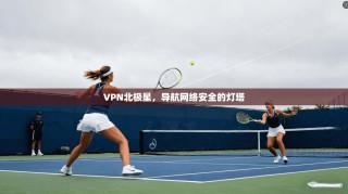 VPN北极星，导航网络安全的灯塔