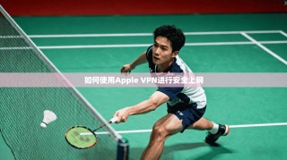 如何使用Apple VPN进行安全上网