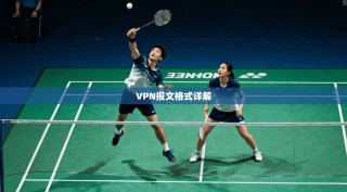 VPN报文格式详解