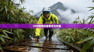 VPN周期的重要性与管理