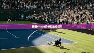 美国VPN的价格和选择指南