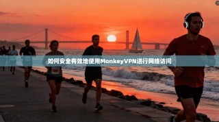 如何安全有效地使用MonkeyVPN进行网络访问