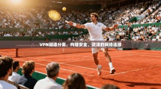VPN隧道分离，构建安全、灵活的网络连接