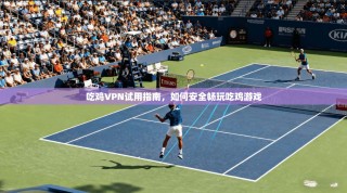 吃鸡VPN试用指南，如何安全畅玩吃鸡游戏