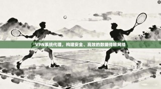 VPN系统代理，构建安全、高效的数据传输网络