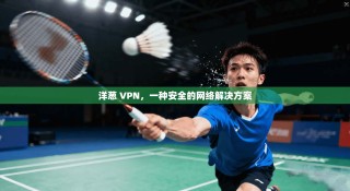 洋葱 VPN，一种安全的网络解决方案