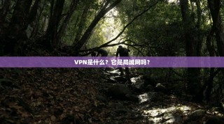 VPN是什么？它是局域网吗？