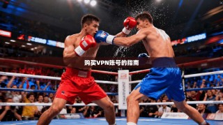 购买VPN账号的指南