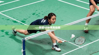 熊猫VPN使用指南