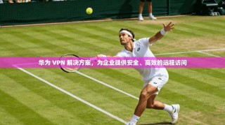 华为 VPN 解决方案，为企业提供安全、高效的远程访问