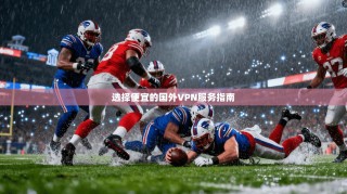 选择便宜的国外VPN服务指南