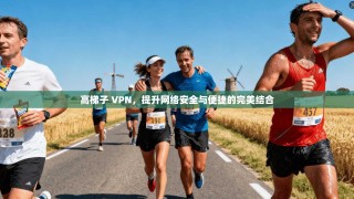 高梯子 VPN，提升网络安全与便捷的完美结合