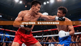 VPN公司监控，安全与合规的双重挑战