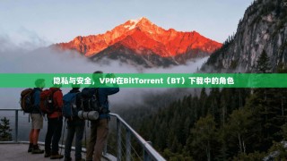 隐私与安全，VPN在BitTorrent（BT）下载中的角色