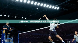 大神VPN，探索网络安全与隐私保护的前沿