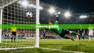 UFW VPN 配置指南