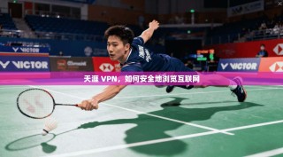 天涯 VPN，如何安全地浏览互联网