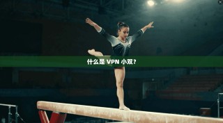 什么是 VPN 小双？