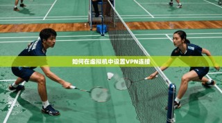 如何在虚拟机中设置VPN连接